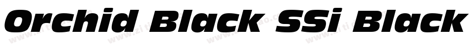 Orchid Black SSi Black Italic字体转换